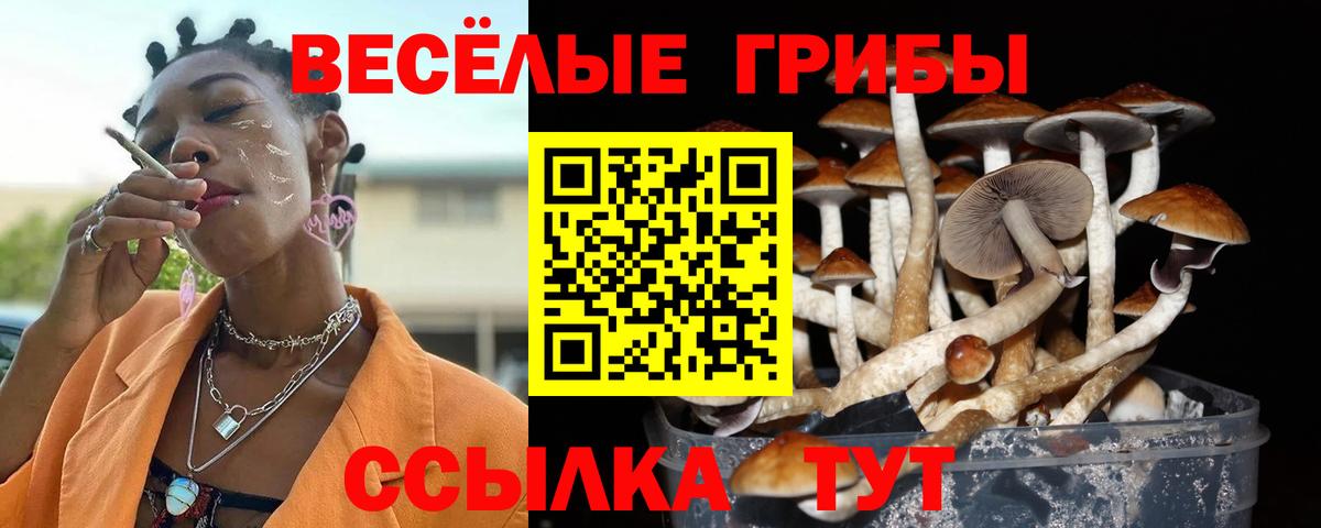 Галлюциногенные грибы Magic Shrooms  Псилоцибиновые грибы мухоморы  Волгоград  Вход с VPN 