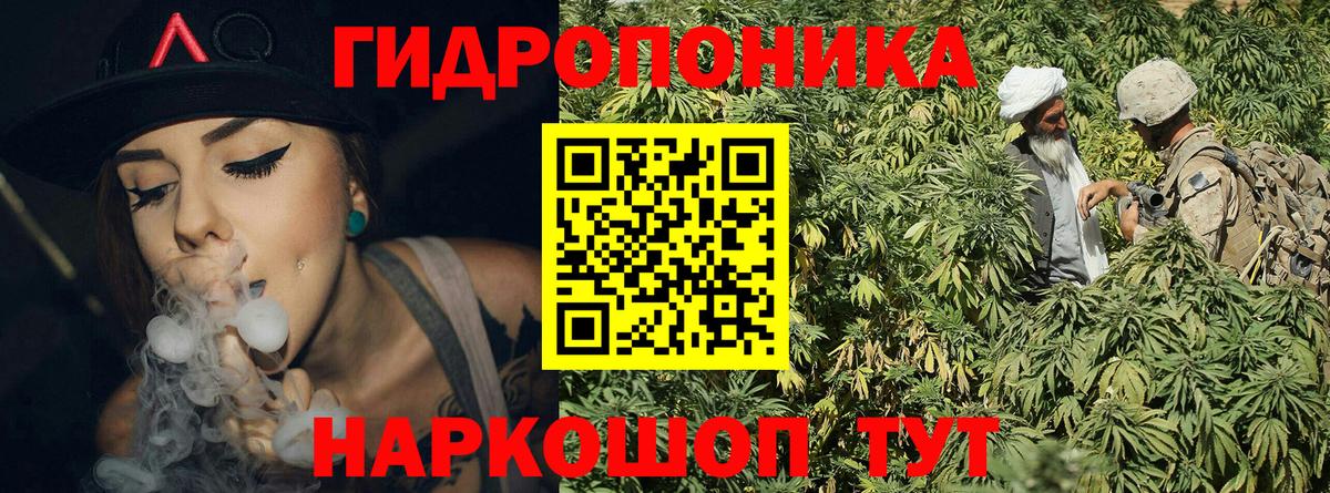 Марихуана VHQ  МАРИХУАНА ГИДРОПОН  МАРИХУАНА планчик  Конопля план  Вход с VPN  Волгоград 